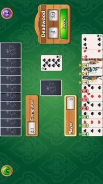 Gin Rummy Deluxe游戏截图5