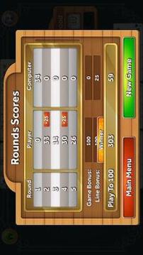 Gin Rummy Deluxe游戏截图2