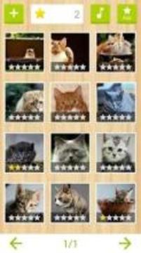 Jigsaw - Cat Kingdom游戏截图5