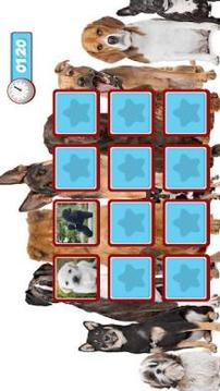 Dogs Memory Game 2018游戏截图5