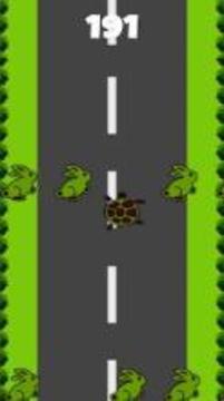 Turtle VS Bunny游戏截图3
