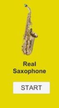 Real Saxophone HD游戏截图2
