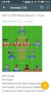 DREAM11 WORLD CRICKET游戏截图2