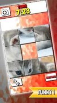 Puppy Slide Puzzle: baby animal free slider puzzle游戏截图4