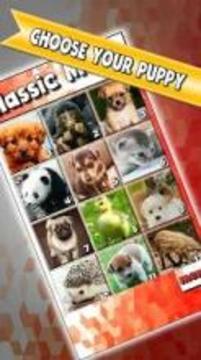 Puppy Slide Puzzle: baby animal free slider puzzle游戏截图1