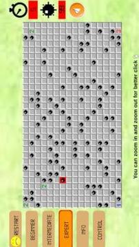 Mines Puzzle游戏截图1