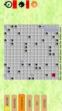 Mines Puzzle游戏截图2