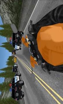 BIKERS vs COPS HD - 3D Racing Game游戏截图2