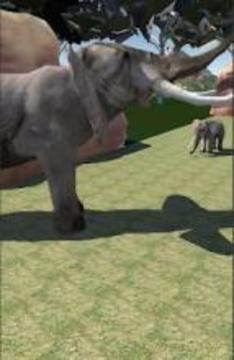 Safari park VR - Animals VR 3D游戏截图3