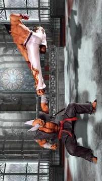 Tkkn Kung Fu Tournament Fight游戏截图1