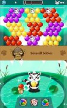 Raccoon Bubbles Blitz游戏截图1