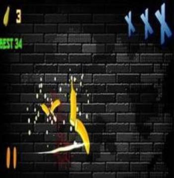 NINJA CUT FRUIT游戏截图3