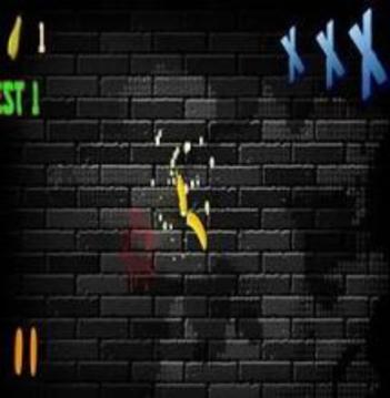 NINJA CUT FRUIT游戏截图5