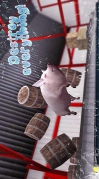 母猪游戏截图2