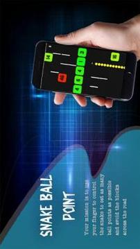 Block vs Snake Ball Point游戏截图1