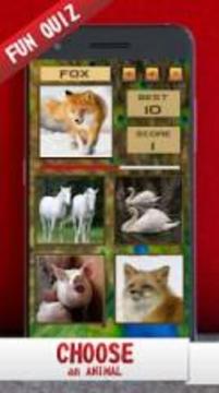 Fun Learn Animals游戏截图5