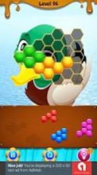 Duck Hexagon Puzzle游戏截图1