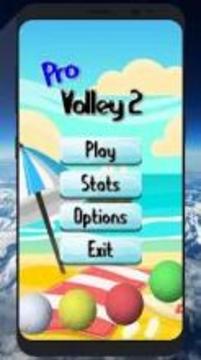 Pro Volley 2游戏截图5