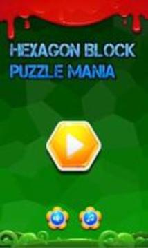 Hexagon Block Puzzle Mania游戏截图3
