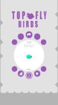Top Fly Birds游戏截图3