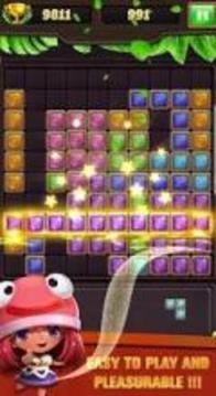 Block Puzzle Jewels Plus游戏截图3