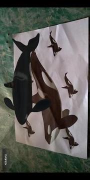 AR Hewan游戏截图1