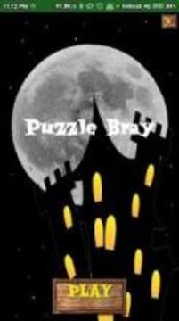 Puzzle Bray游戏截图2