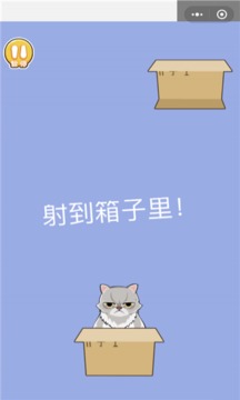 戏精猫游戏截图2