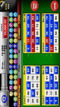 Nine Balls Video Bingo游戏截图1