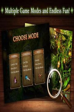 Enchanted游戏截图4