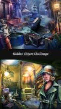 Hidden Object Challenge游戏截图3