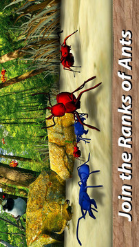 蚂蚁生存游戏截图4