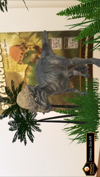 Augmented Reality Dinosaur Zoo游戏截图2