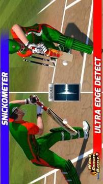 World Cricket Battle游戏截图1