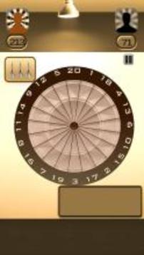 Real Darts 3D游戏截图5