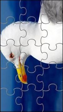 Bird Jigsaw Puzzles Game游戏截图1