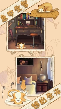 迷失猫咪大作战游戏截图4