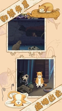迷失猫咪大作战游戏截图3