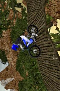 Downhill Bicycle Offraod Race游戏截图3