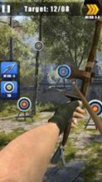 Archery Champion: Real Shooting游戏截图2