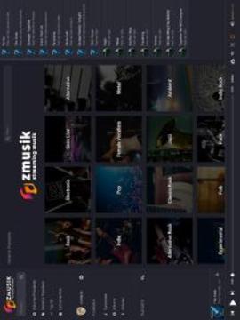 ZMUSIK Music Stream游戏截图2