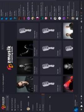 ZMUSIK Music Stream游戏截图3