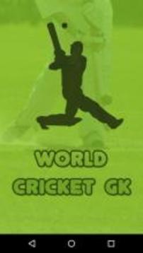 World Cricket Gk游戏截图1