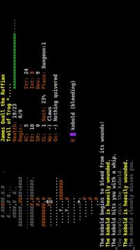 Dungeon Crawl:SS (ASCII)游戏截图1