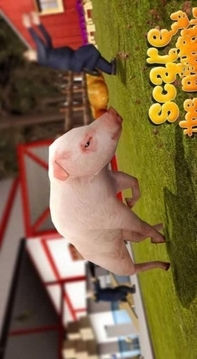 the pig simulator2游戏截图4