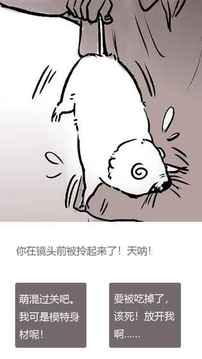 竹鼠活下去2游戏截图4