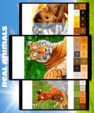 Animals Color by Number: Animal Pixel Art游戏截图2