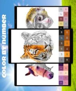 Animals Color by Number: Animal Pixel Art游戏截图4