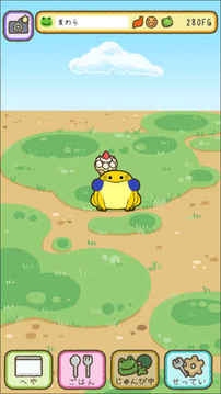 青蛙everyday游戏截图3