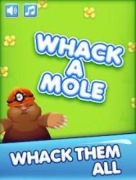 Whack A Mole With Hammer游戏截图3